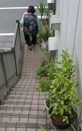 ばぁばとお散歩 2