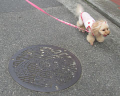 ばぁばとお散歩9