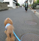 ばぁばとお散歩12