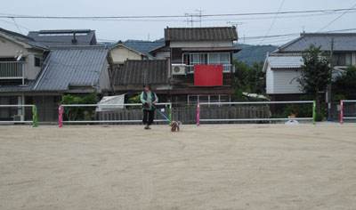 ばぁばとお散歩14