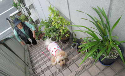 ばぁばとお散歩17