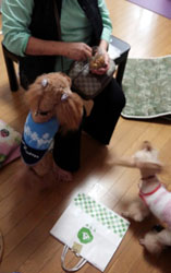 事務所で嬉再会1