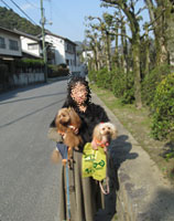 錦帯橋散歩