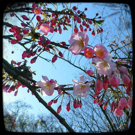 6_20120409062350.jpg