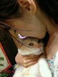 まるちゃん