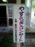 P1000449.jpg