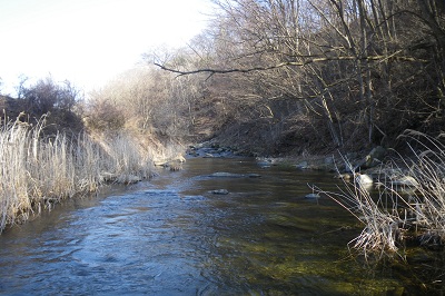 IMGP0083.jpg