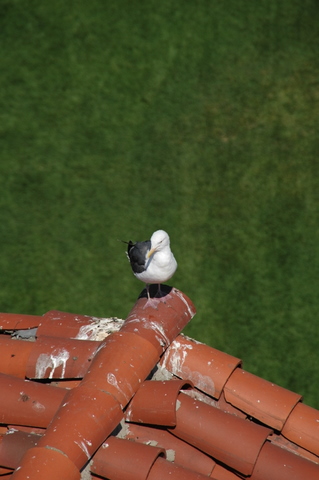 DSC_4303.jpg