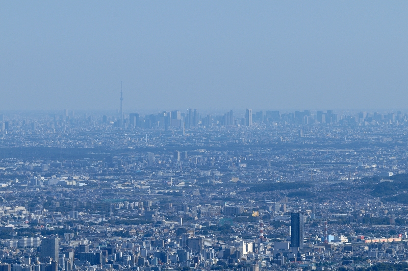 B20131013_024_1.jpg