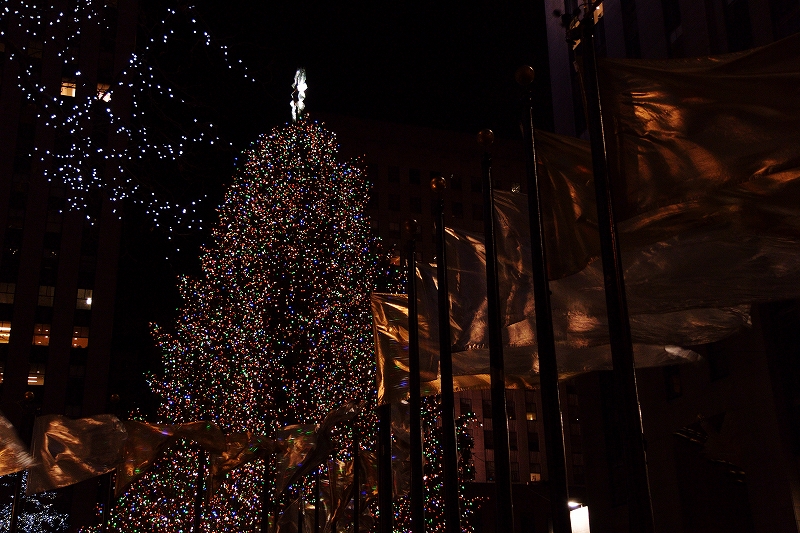 B20131225_014_1.jpg
