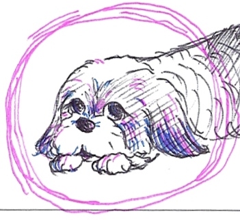 つぼ