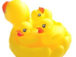 仲良しがいいね(^v^*)/