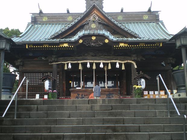 IMGP7878_R.jpg