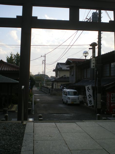 IMGP7881_R.jpg