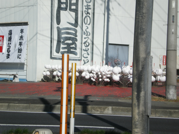 IMGP7955.jpg