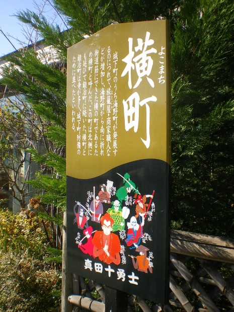 IMGP7987.jpg
