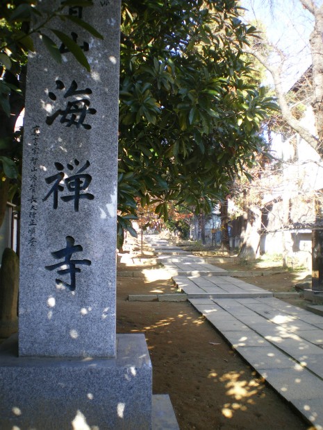 IMGP8003.jpg