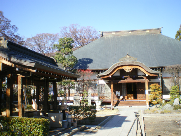 IMGP8008.jpg