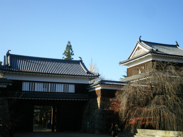 IMGP8016.jpg