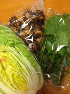 野菜