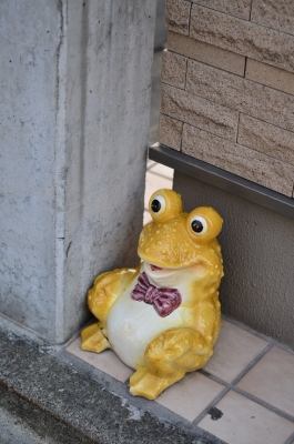 r20140201_26.jpg
