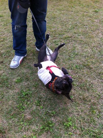 IMG_0347_convert_20111112234440.jpg