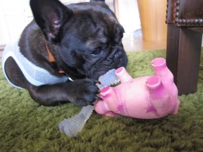 IMG_2759_convert_20110907225250.jpg