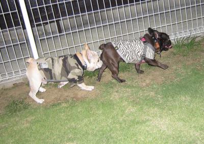 IMG_3212_2_convert_20111004214121.jpg