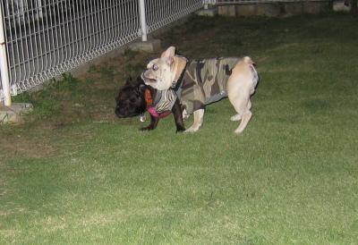 IMG_3216_2_convert_20111004214202.jpg