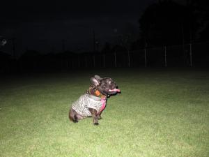 IMG_3218_convert_20111006224457.jpg