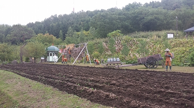 収容者農作業