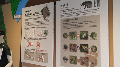 ヒグマにであわないために