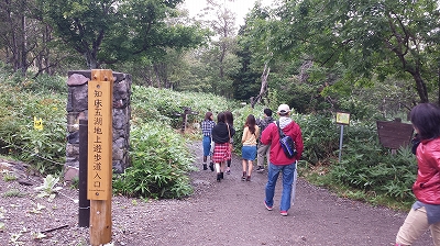 知床五湖遊歩道