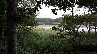 知床五湖の二湖