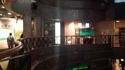 釧路湿原展望内