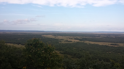 釧路湿原風景