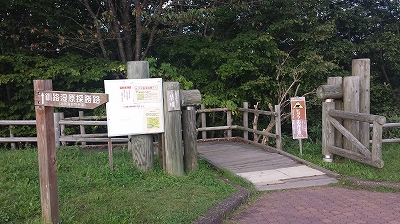 釧路湿原左側道