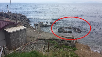 海の中の温泉はこれ