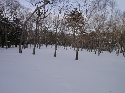 P1020129.jpg