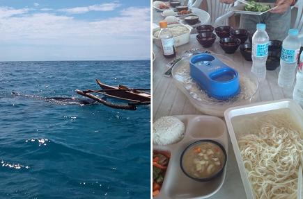 cebu3.jpg