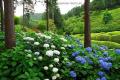 DSC_8917.jpg