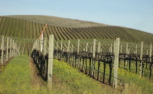 0213020d_1_1.jpg