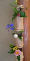 0408053d_1_1.jpg