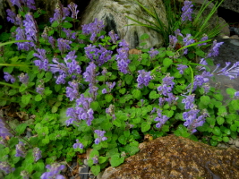 0418031e_1_1.jpg