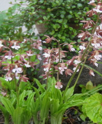0507005e_1_1.jpg