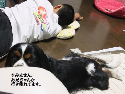 くぅちゃん大好きっちゃ♪