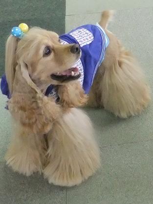 くぅちゃん大好きっちゃ♪