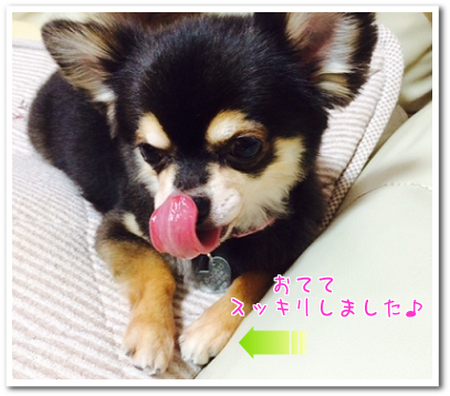 スッキリ
