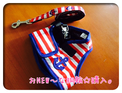新しいリード