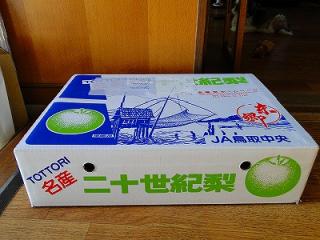 梨さん
